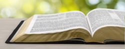 Amos Ministries