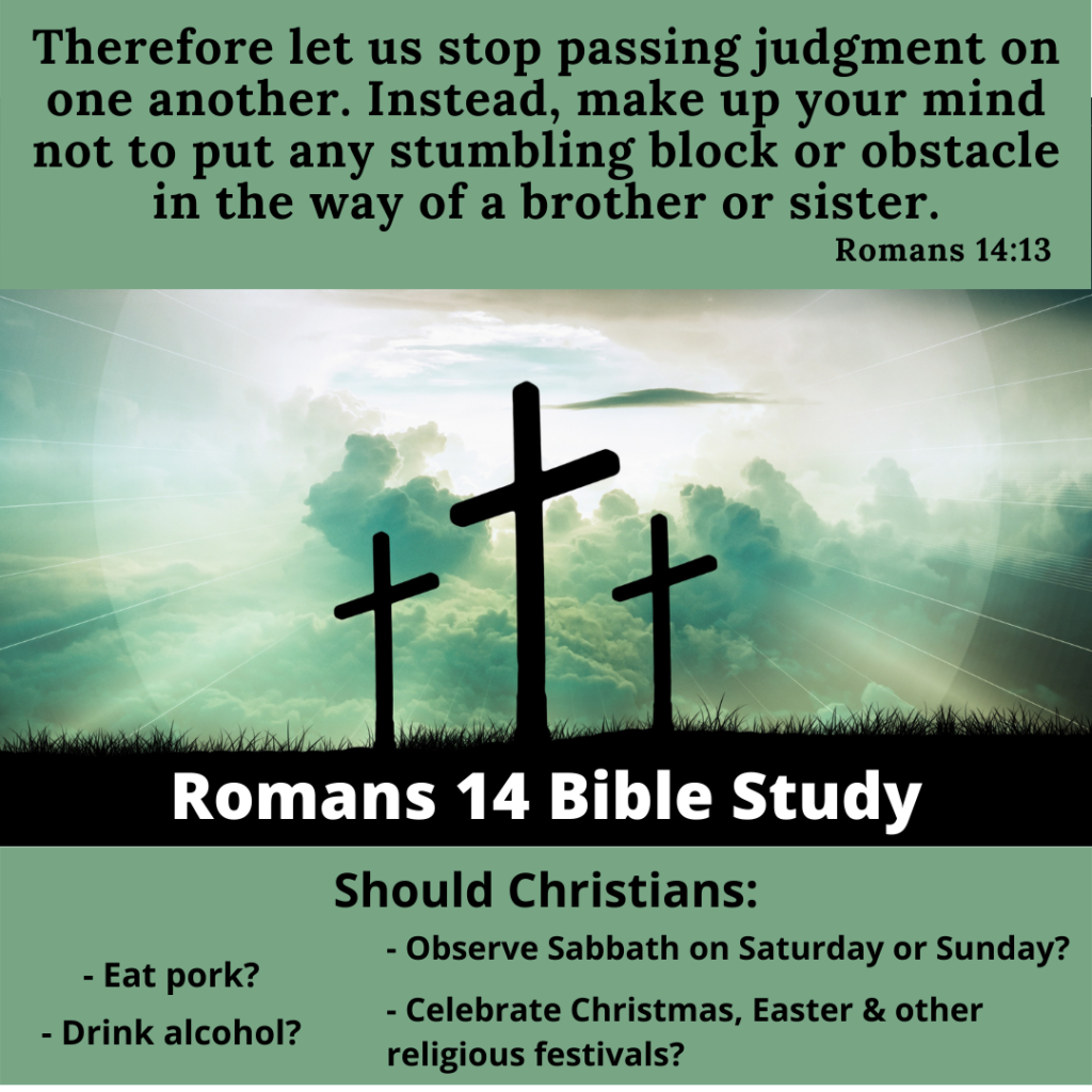 romans 14 bible