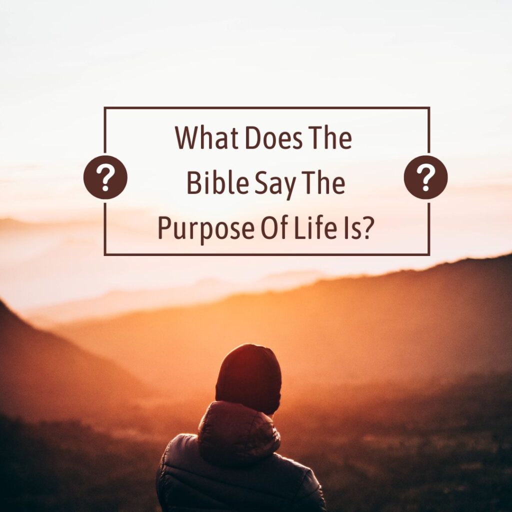 What Does the Bible Say the Purpose of Life is? - Amos Ministries